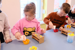 492243845_1277726490843513_2751289273325764623_n